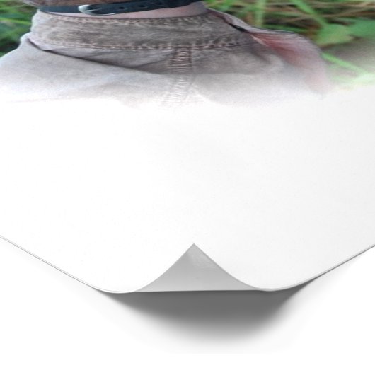 Belle affiche Orangoutan Baby (Coin)