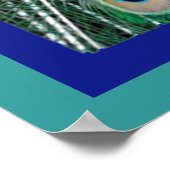 Belle affiche photo de Royal Peacock (Coin)