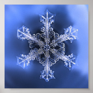 Belle affiche Real Snowflake bleu et blanc