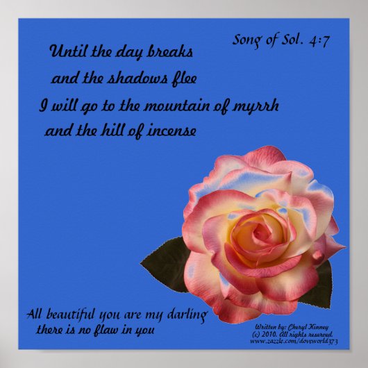 Belle affiche Rose (Devant)