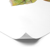 Belle affiche Rose Vintage (Coin)