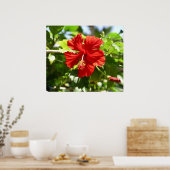 Belle affiche rouge Hawaiian Hibiscus Flower (Cuisine)