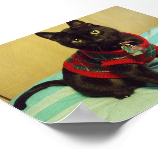 Belle affiche Seimei (Coin)