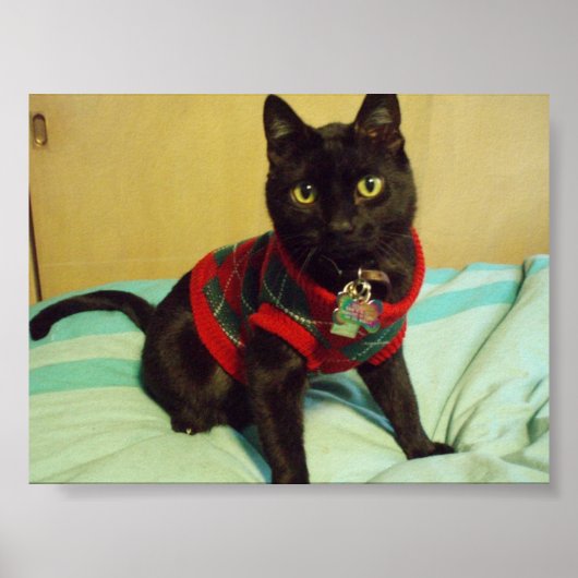 Belle affiche Seimei (Devant)