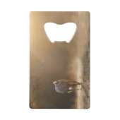 Belle Appaloosa dans Bouteille Soleil Doré Open (Devant)