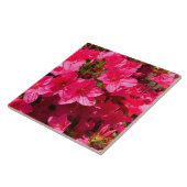 Belle Azalea Rose Fleurs Carreaux (Côté)