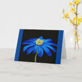 Belle Bleue Beauté Daisy toute la carte d'occasion (Fleur jaune)