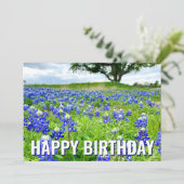 Belle Bluebonnets Photo Bonne carte d'anniversaire (Debout devant)