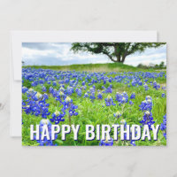 Belle Bluebonnets Photo Bonne carte d'anniversaire