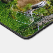 Belle Buck dans le Mat de bureau de prairie (Coin)