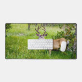 Belle Buck dans le Mat de bureau de prairie (Clavier et souris)