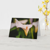 Belle Calla Lily dans le jardin Carte de note Fleu (Fleur jaune)