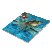 Belle carreaux de seigle de seigle (Côté)