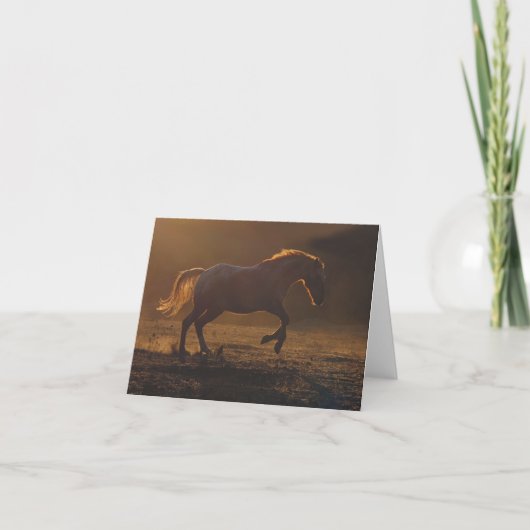 Belle carte Appaloosa Horse Blank Note (Devant)