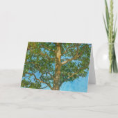 Belle carte Arbre et Ciel bleu (Devant)
