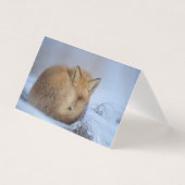 Belle carte blanche Fox (Front)