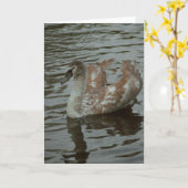 Belle carte blanche photo de cygne (Fleur jaune)