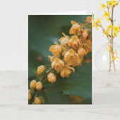 Belle carte blanche photo de fleurs (Fleur jaune)