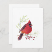 Belle carte Cardinal Rouge (Devant / Derrière)