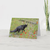 Belle carte d'anniversaire de Chat Noir! (Devant)