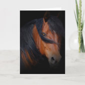 Belle carte d'anniversaire de cheval (Devant)