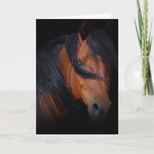 Belle carte d'anniversaire de cheval