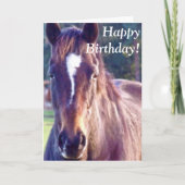 Belle carte d'anniversaire de cheval (Devant)