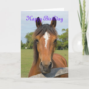 Cartes Cheval D Anniversaire Zazzle Be