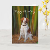 Belle carte d'anniversaire de la Bretagne (Fleur jaune)