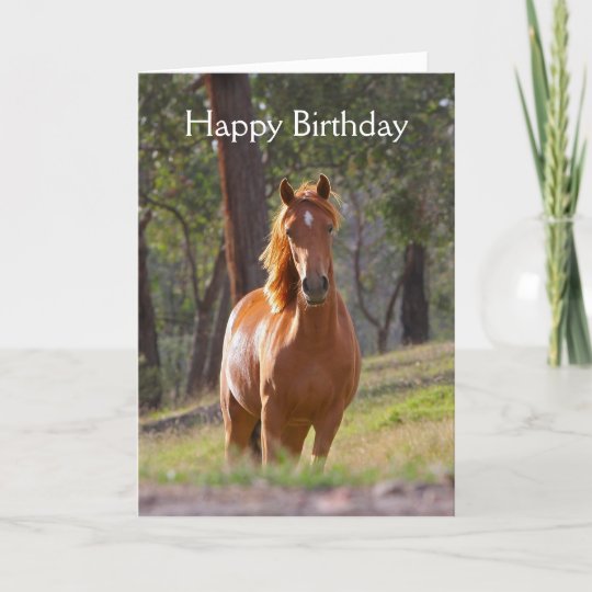 Belle Carte D Anniversaire De Photo De Cheval De Zazzle Be