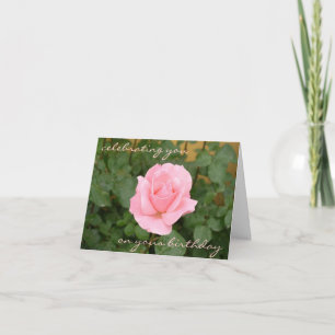 Belle carte d'anniversaire de rose de rose