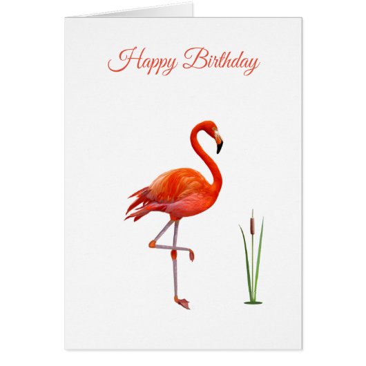 Belle carte d'anniversaire Flamant rose rose (Devant)