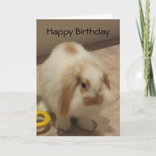 Belle Carte d'Anniversaire Rabbit (Devant)