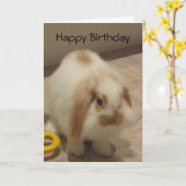 Belle Carte d'Anniversaire Rabbit (Fleur jaune)