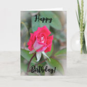 Belle carte d'anniversaire Rose Bud rose (Devant)