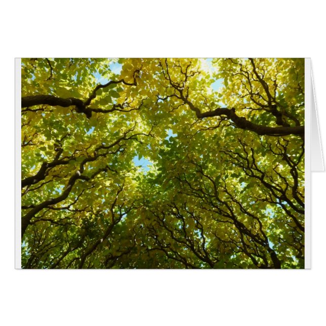 Belle carte d'arbres dorés (Devant Horizontal)