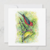 Belle carte de billet Couple Tanager Scarlet (Devant)