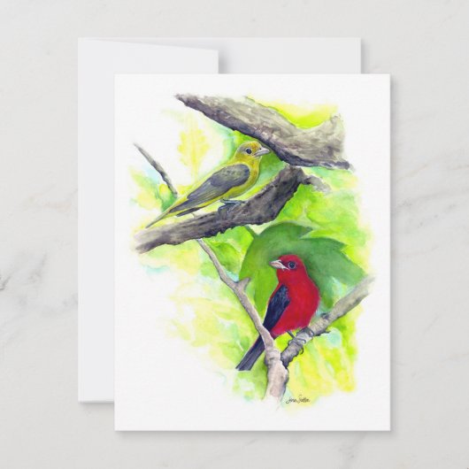 Belle carte de billet Couple Tanager Scarlet (Devant)