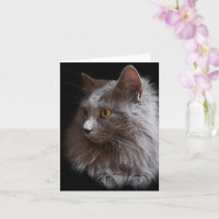 Belle carte de chat gris russe bleu Nebelung vierg