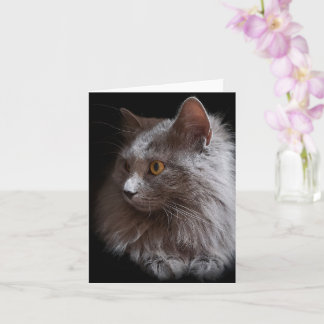 Belle carte de chat gris russe bleu Nebelung vierg