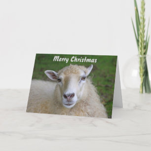 Belle carte de Noël des moutons