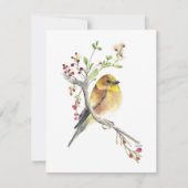 Belle carte de note aux oiseaux chanteurs américai (Devant)