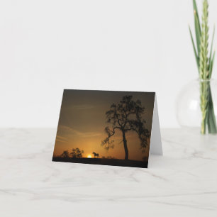 Belle carte de note Cheval et Coucher de soleil