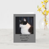 Belle carte de note de chat (Fleur jaune)