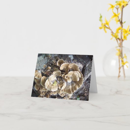 Belle carte de note de Fungus (Fleur jaune)