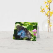Belle carte de note noire et bleue de papillon (Fleur jaune)