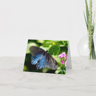 Belle carte de note noire et bleue de papillon
