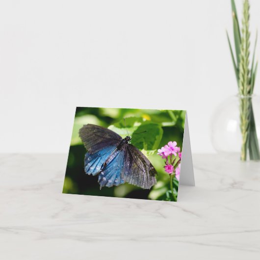 Belle carte de note noire et bleue de papillon (Devant)