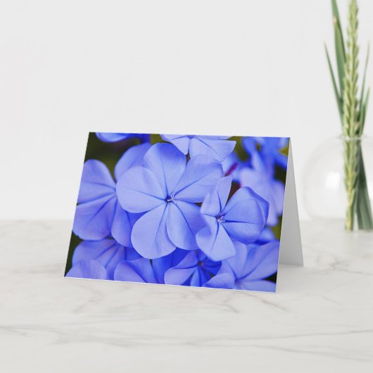 Belle carte de notes Blue Tropical Flowers (Devant)
