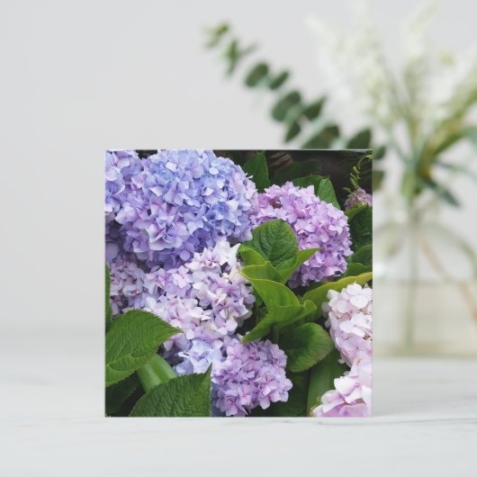 Belle carte de notes Hydrangeas (Debout devant)